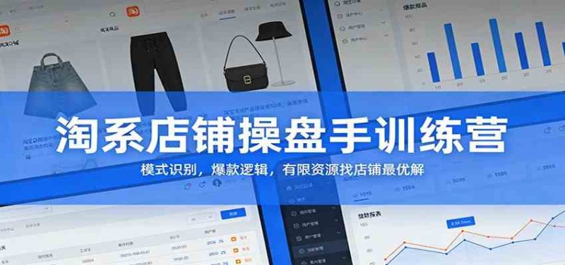 淘系店铺操盘手训练营：模式识别，爆款逻辑，有限资源找店铺最优解|云雀资源分享