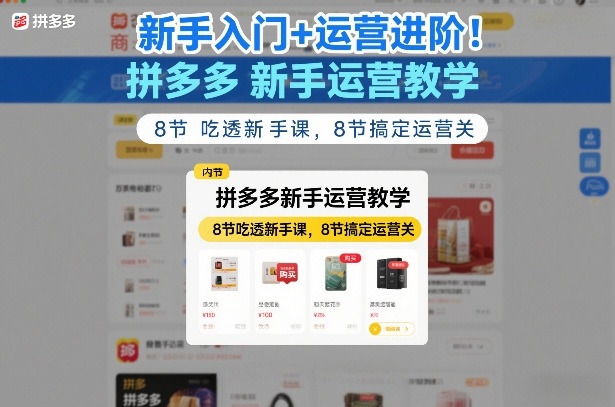 新手入门+运营进阶！拼多多新手运营教学，8节吃透新手课，8节搞定运营关|云雀资源分享