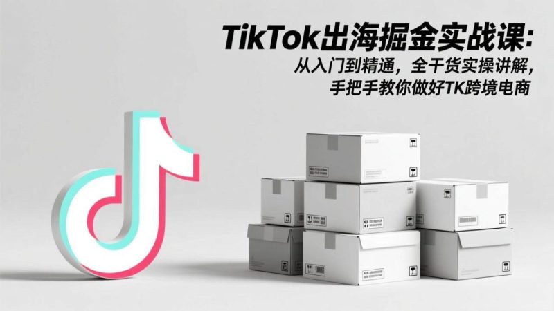 TikTok出海掘金实战课：从入门到精通，全干货实操讲解，手把手教你做好TK跨境电商|云雀资源分享