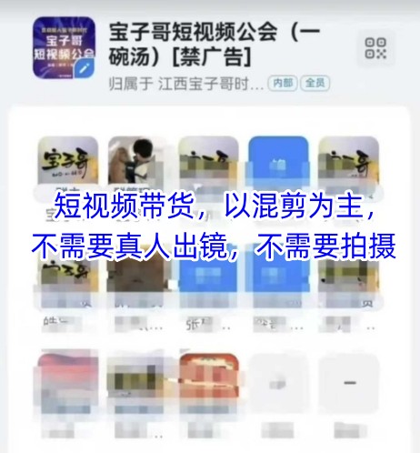 宝子哥头部团队短视频带货，以混剪为主，不需要真人出镜，不需要拍摄【更新26年3月】|云雀资源分享