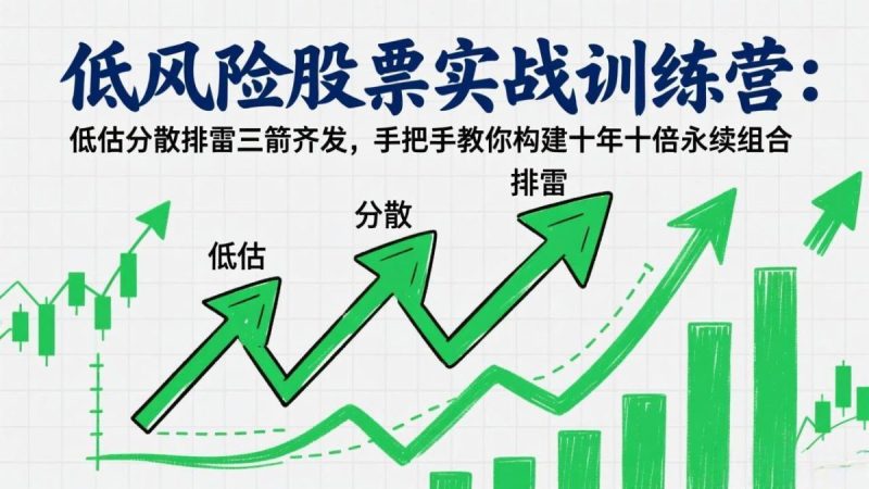 低风险股票实战训练营：低估分散排雷三箭齐发，手把手教你构建十年十倍永续组合|云雀资源分享