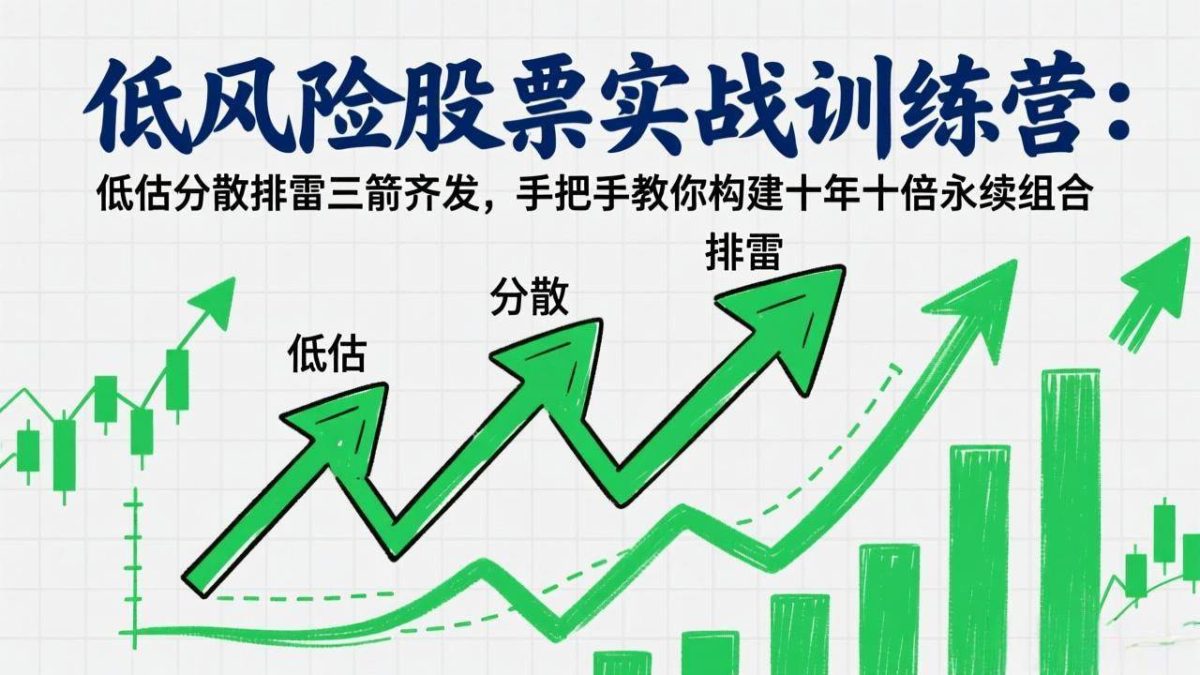 低风险股票实战训练营：低估分散排雷三箭齐发，手把手教你构建十年十倍永续组合|云雀资源分享