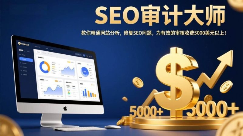 SEO审计大师：教你精通网站分析，修复SEO问题，为有效的审核收费5000美元以上！|云雀资源分享
