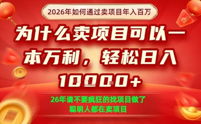 一单净利润1K+,26年想年入100个W,死磕卖项目就够了【揭秘】|云雀资源分享