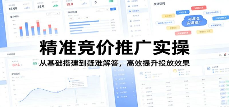 精准竞价推广实操：从基础搭建到疑难解答，高效提升投放效果|云雀资源分享