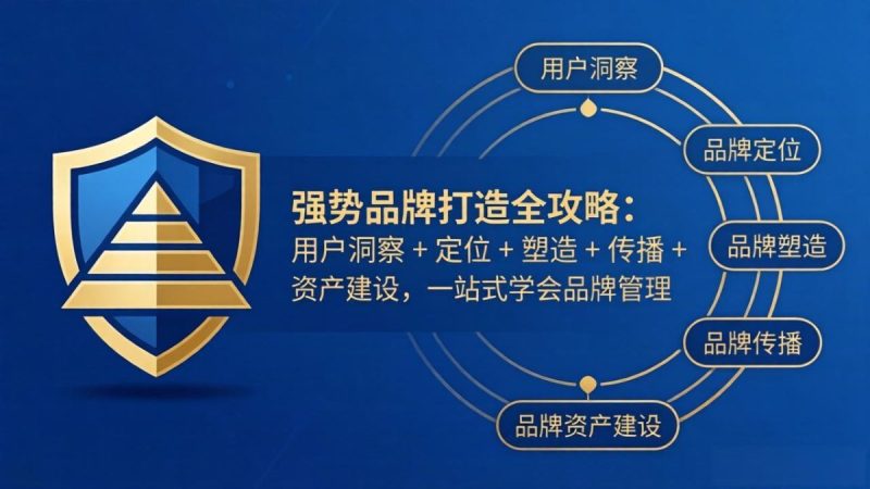 强势品牌打造全攻略：用户洞察 + 定位 + 塑造 + 传播 + 资产建设，一站式学会品牌管理|云雀资源分享