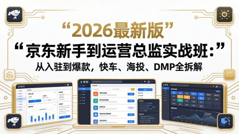 京东新手到运营总监实战班：从入驻到爆款，快车、海投、DMP全拆解，2026最新版|云雀资源分享