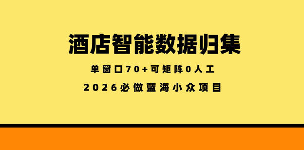 酒店智能数据归集，小众蓝海已经稳定半年之久，单窗口70+零成本矩阵开干【揭秘】|云雀资源分享