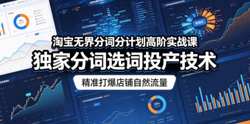淘宝无界分词分计划高阶实战课，独家分词选词投产技术，精准打爆店铺自然流量|云雀资源分享