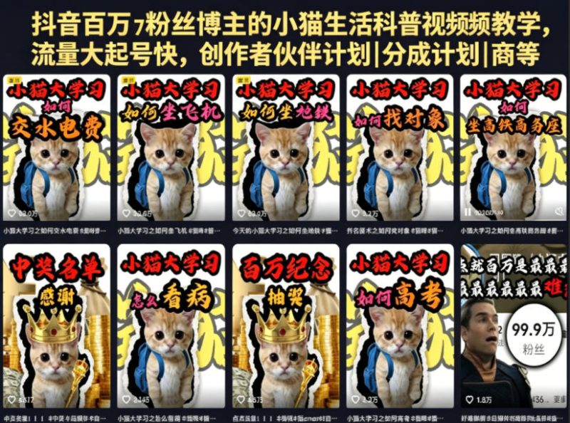 抖音百万粉丝博主的小猫生活科普视频教学，流量大起号快，创作者伙伴计划|分成计划|商单|收徒等|云雀资源分享