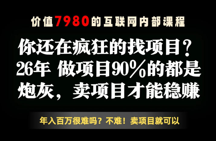 26年请不要疯狂的找项目了，卖项目远比你想象的暴利，你也可以月入10W+【揭秘】|云雀资源分享