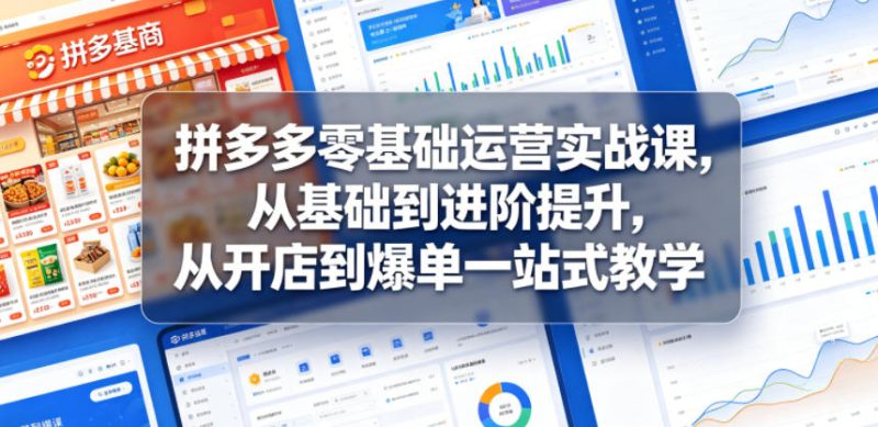 拼多多零基础运营实战课,从基础到进阶提升,从开店到爆单一站式教学|云雀资源分享