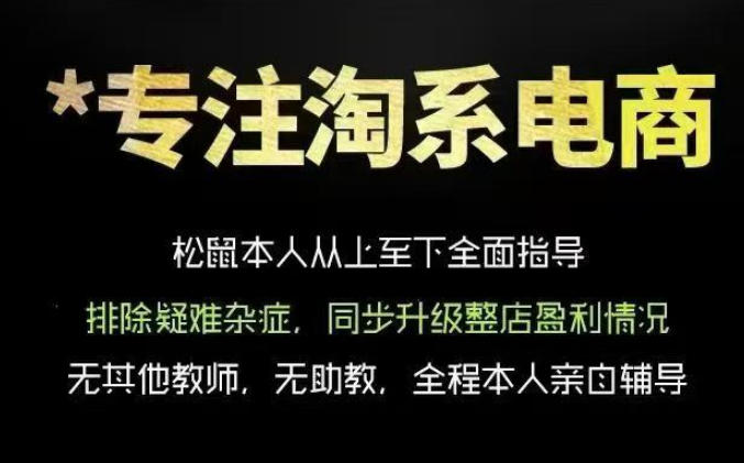 松鼠会电商VIP课程，从基础布局到高阶优化，助你掌握淘宝运营逻辑，提升店铺流量与转化（更新0711）