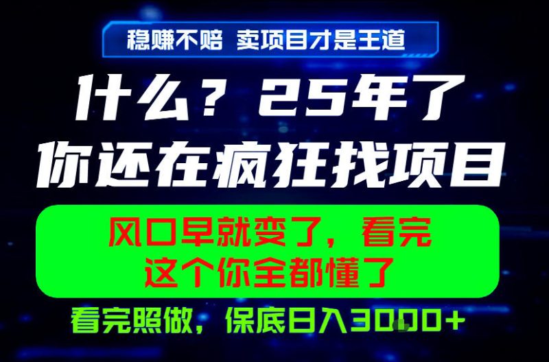 26年，请不要疯狂的找项目做了！卖项目才是真的稳賺不赔，看完照做，保底日入1k+【揭秘】|云雀资源分享