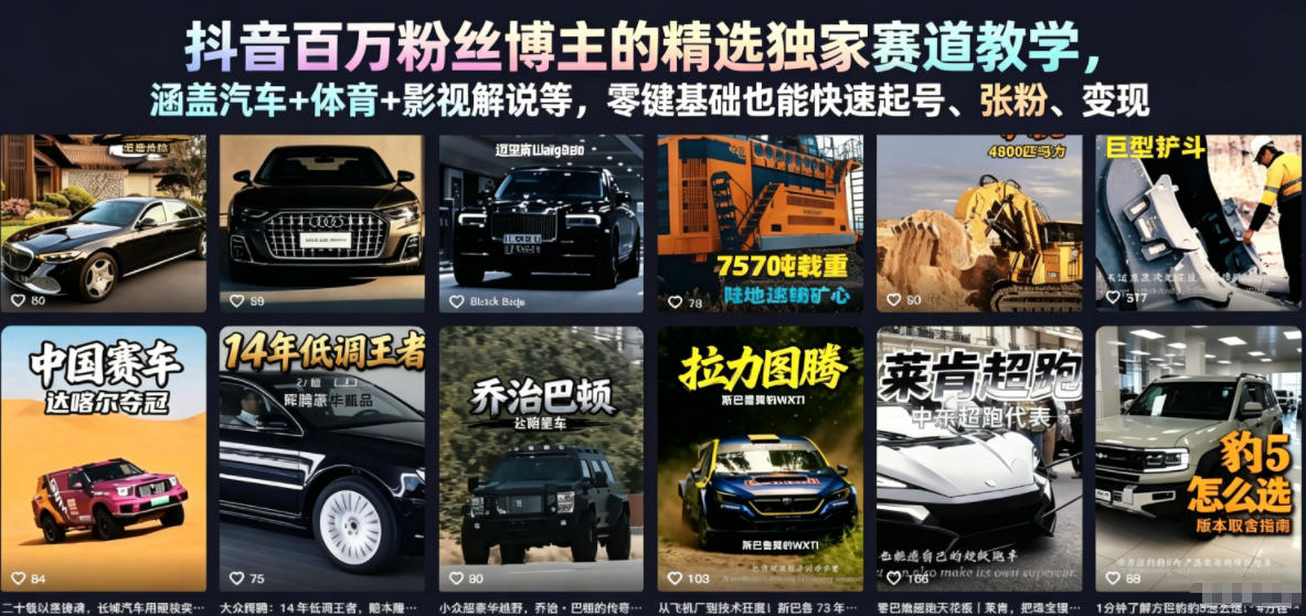 抖音百万粉丝博主的精选独家赛道教学，涵盖汽车+体育+影视解说等，零基础也能快速起号、涨粉、变现(更新0701)|云雀资源分享