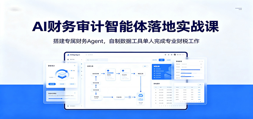 AI财务审计智能体落地实战课:搭建专属财务Agent,自制数据工具单人完成专业财税工作|云雀资源分享