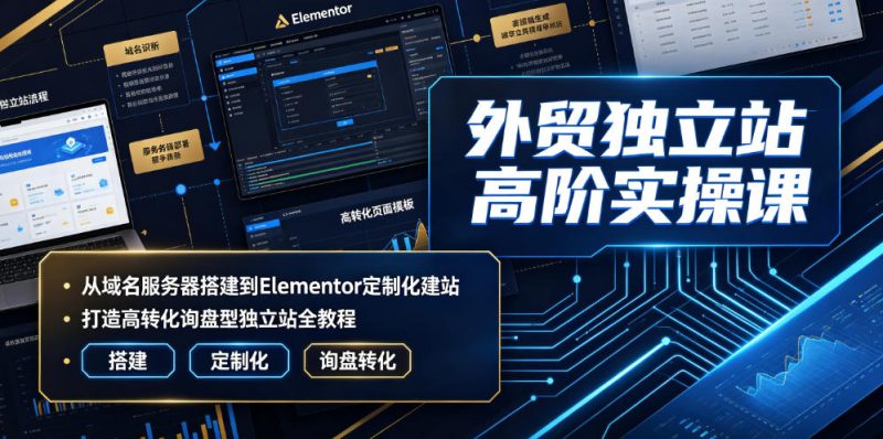 外贸独立站高阶实操课｜从域名服务器搭建到Elementor定制化建站，打造高转化询盘型独立站全教程|云雀资源分享