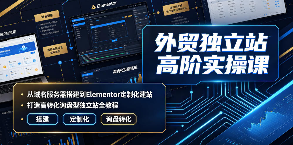 外贸独立站高阶实操课｜从域名服务器搭建到Elementor定制化建站，打造高转化询盘型独立站全教程|云雀资源分享