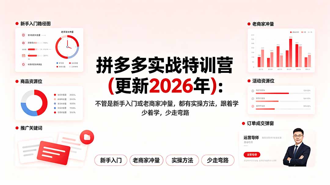 拼多多实战特训营(更新2026年|云雀资源分享